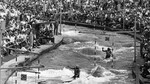 1972